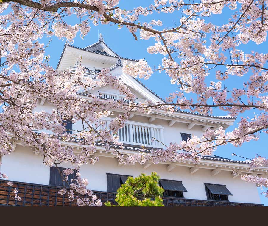 日本の京都にある五重塔と富士山